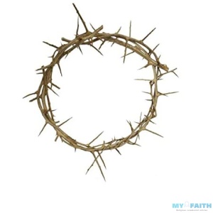 Passion of Christ 12″ Authentic Real Fresh Jesus Crown of Thorns from The Holy Land