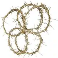 Authentic Biblical Holy Land Crown of Thorns