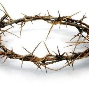Passion of Christ Crown of Thorns/Authentic Crown of Thorns – 24″ Huge Real Life size