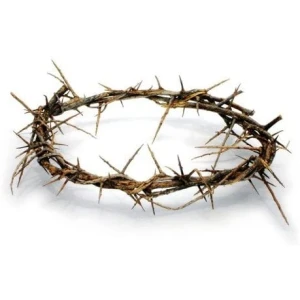 Authentic Biblical Holy Land Crown of Thorns – 11″ – 13″ Real Life Size