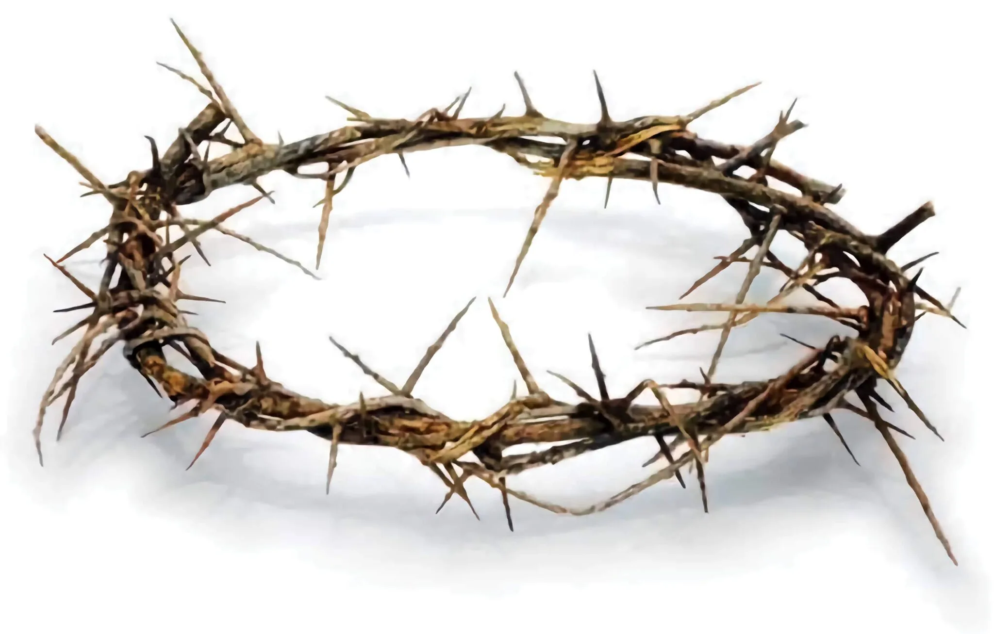 Authentic Biblical Holy Land Crown of Thorns