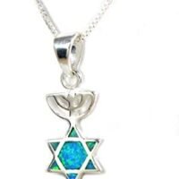 Messianic seal opal necklace sterling silver Grafted In pendant from Israel  Clothing, Shoes & Jewelry
