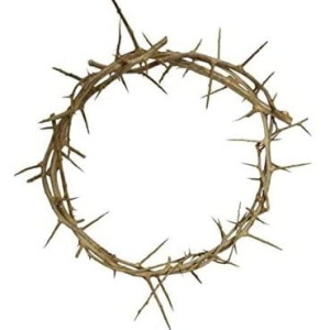 Jerusalem Passion of Christ Crown of Thorns in Gift Box -7.5″