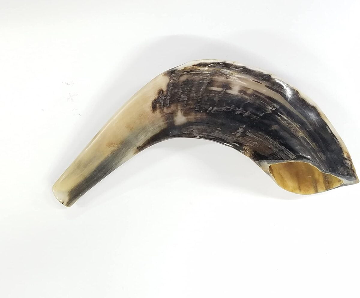 Traditional Ram’s Horn Shofar from Israel