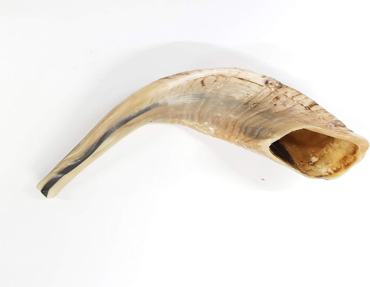 Traditional Ram’s Horn Shofar from Israel