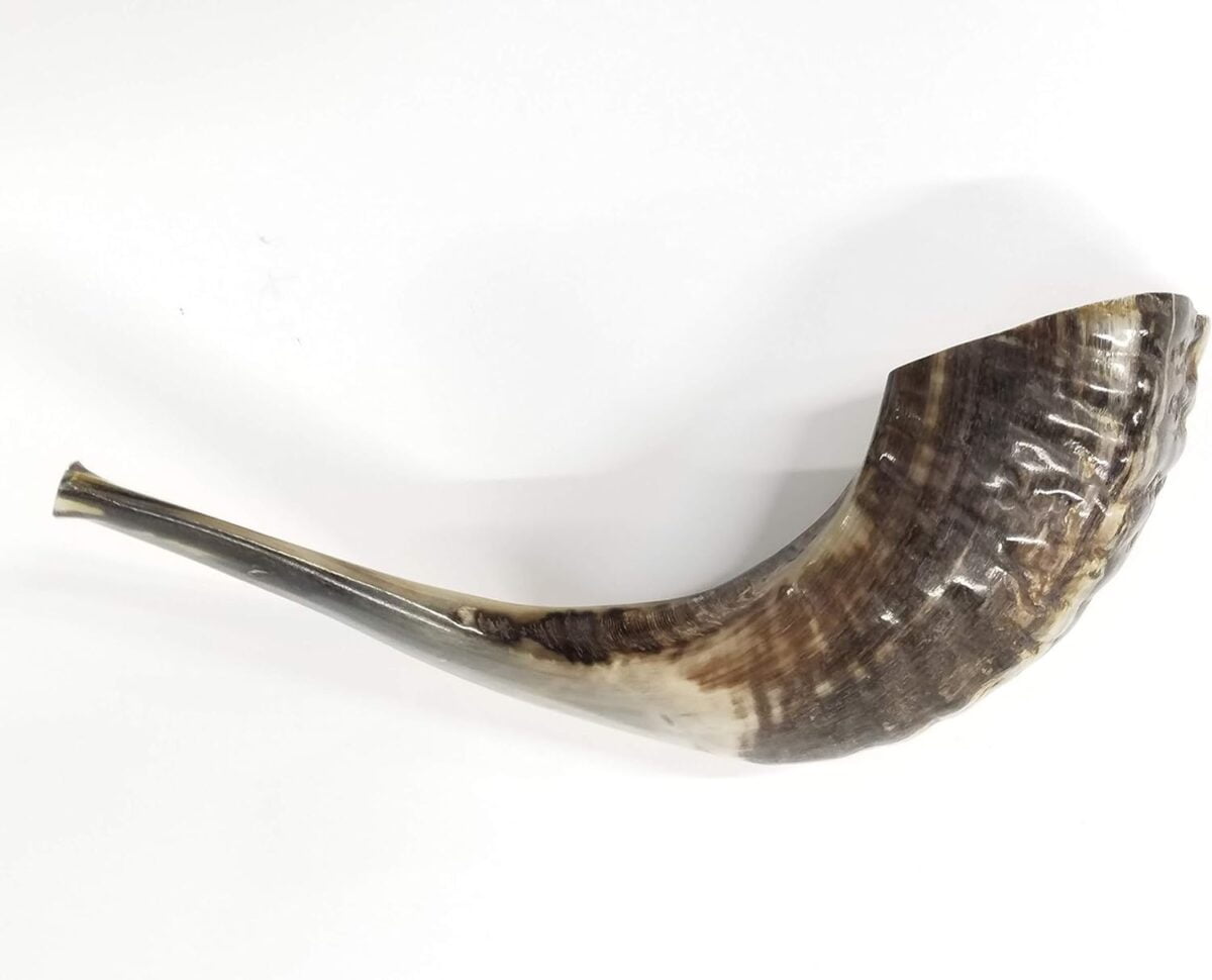 Traditional Ram’s Horn Shofar from Israel