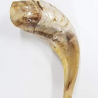 Traditional Ram’s Horn Shofar from Israel