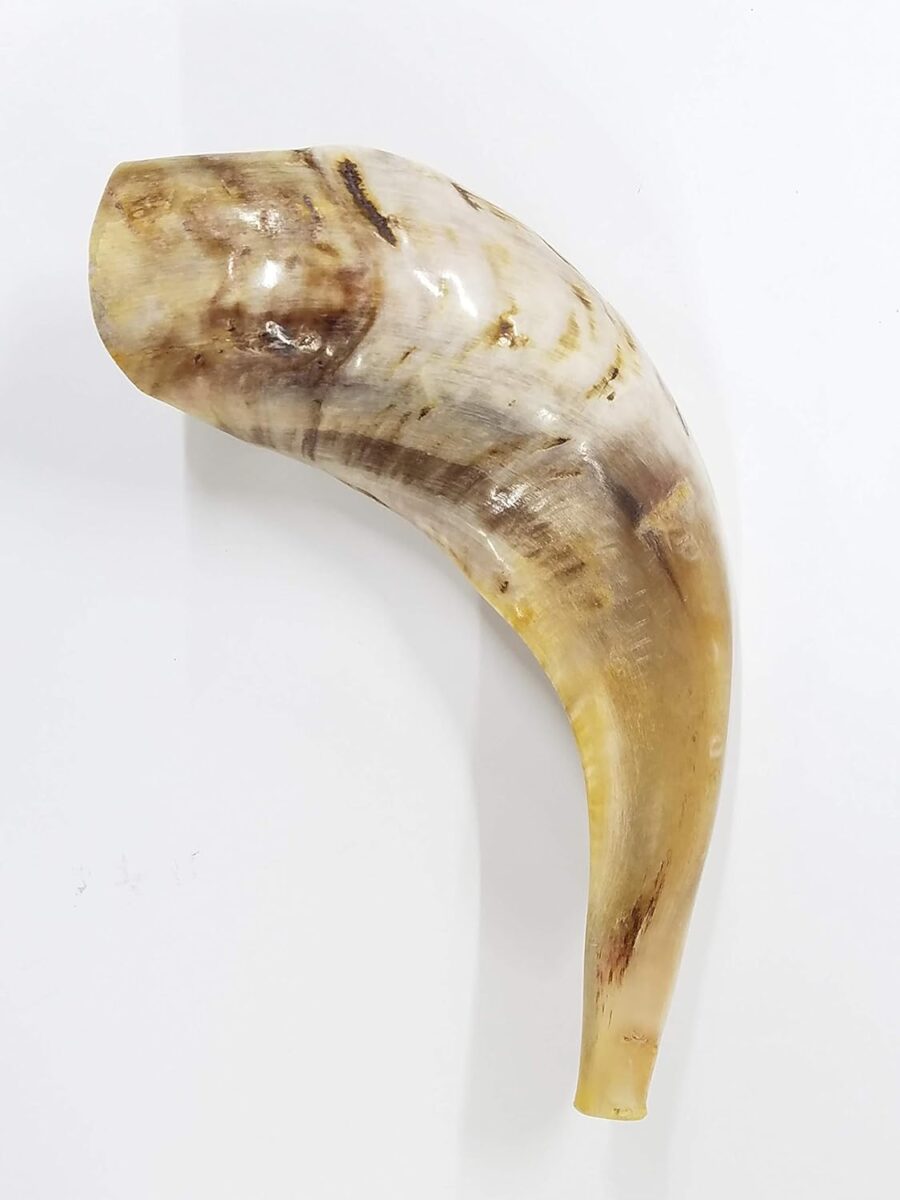 Traditional Ram’s Horn Shofar from Israel