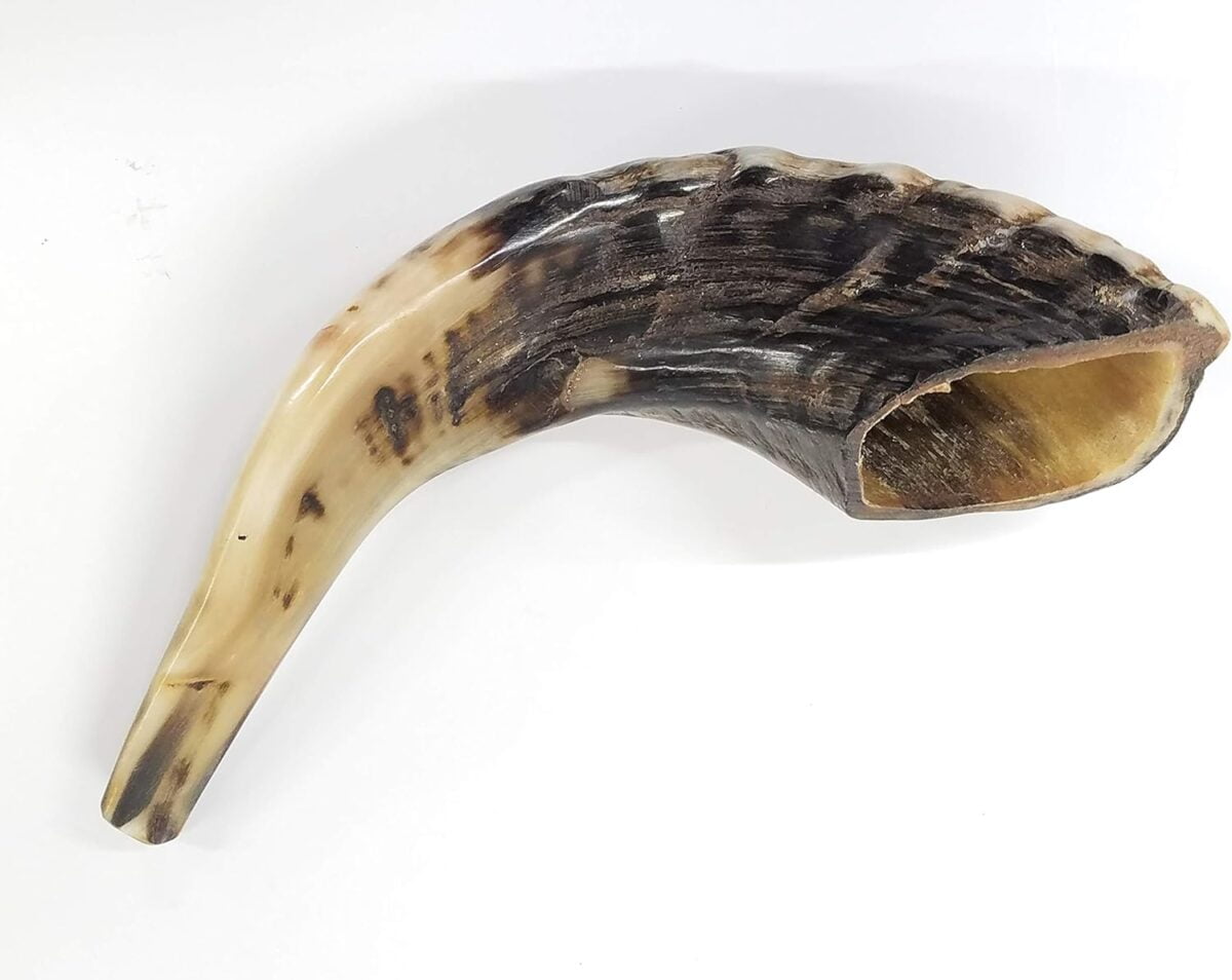 Traditional Ram’s Horn Shofar from Israel