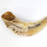 Traditional Ram’s Horn Shofar from Israel