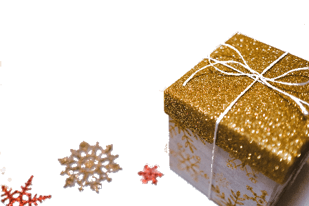 Enchanted Christmas Ornament Showcase